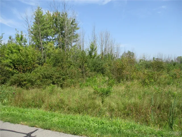 $130,000 | 5 Hitchcock Point Road, Bridgeport, NY 13030