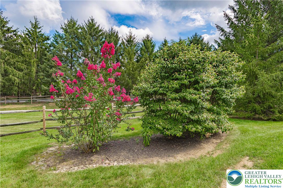 803 Dorset Road Allentown, PA 18104 - Photo 42 of 44 a view of a garden with flowers