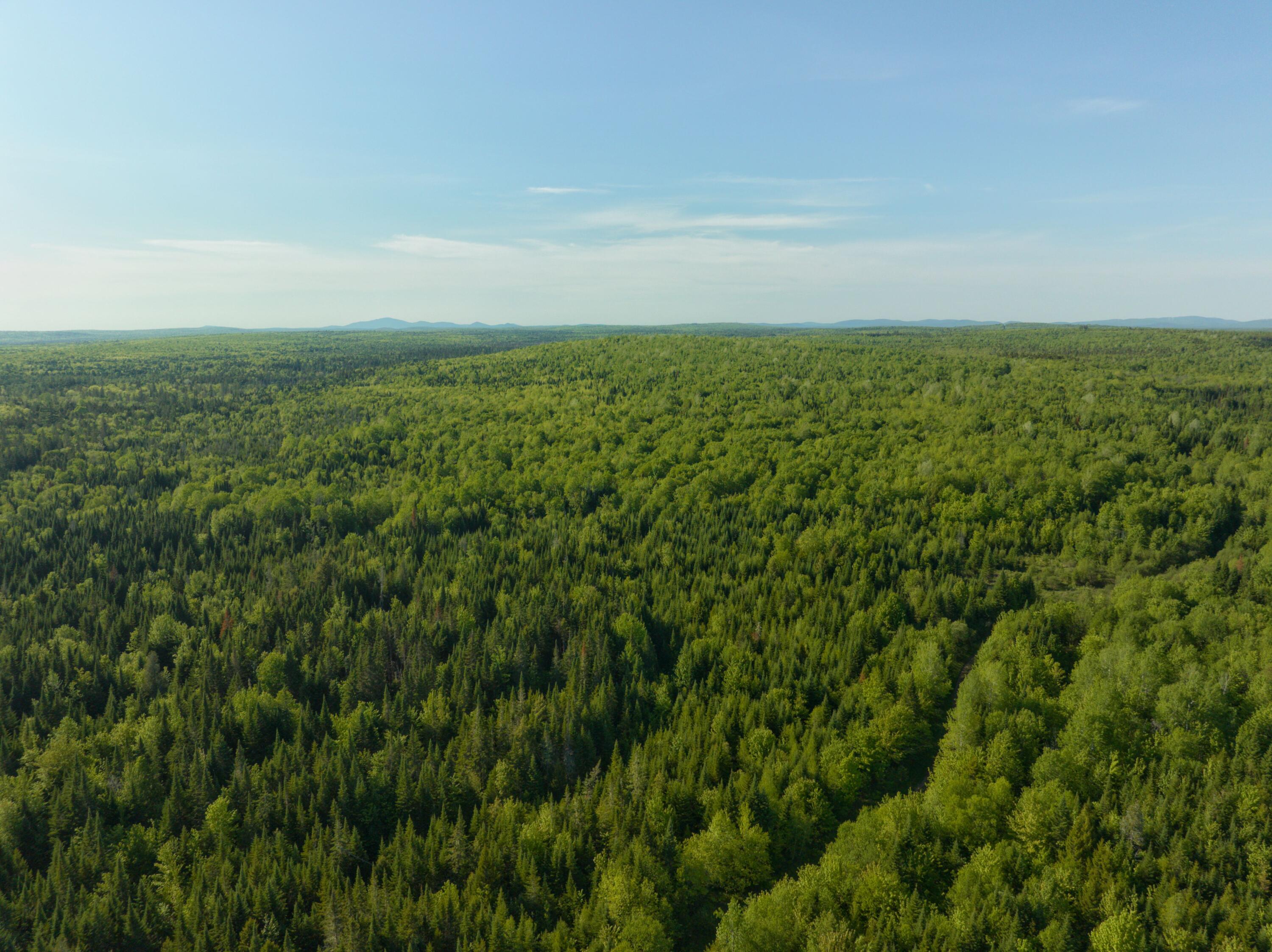 0 Dixie Road Wytopitlock, ME 04497 - Photo 8 of 22