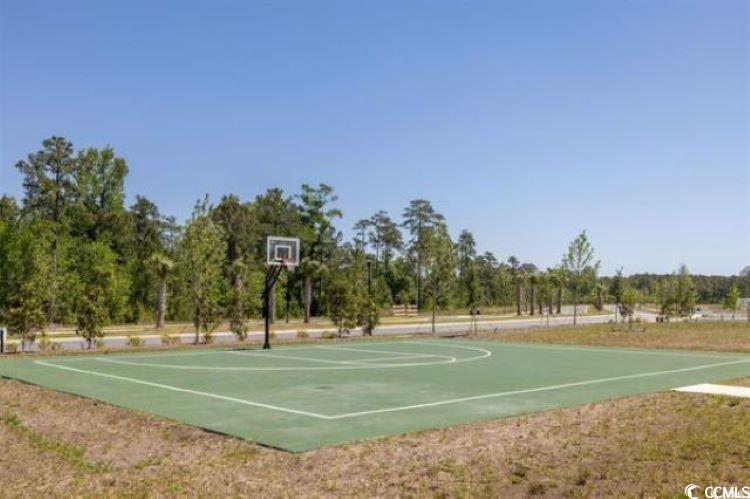 541 Ayrhill Loop Myrtle Beach, SC 29588 - Photo 3 of 8 View of basketball court