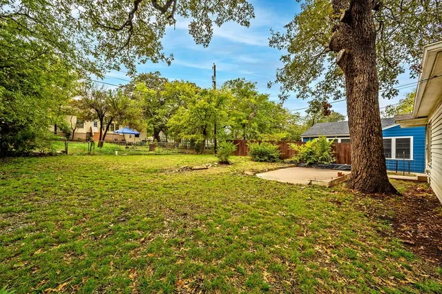 a view of a yard with trees