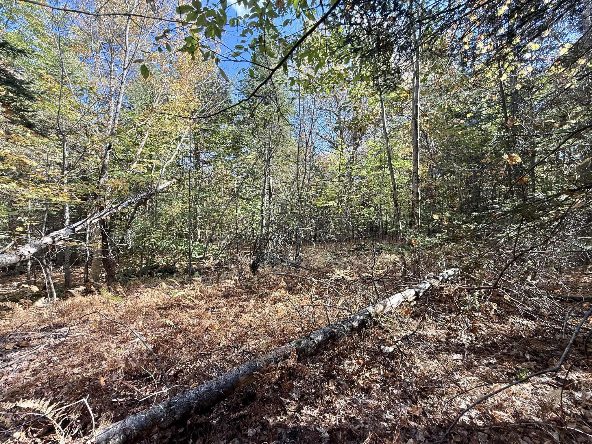 6 Tuell Hill Road Sumner, ME 04292 - Photo 3 of 7