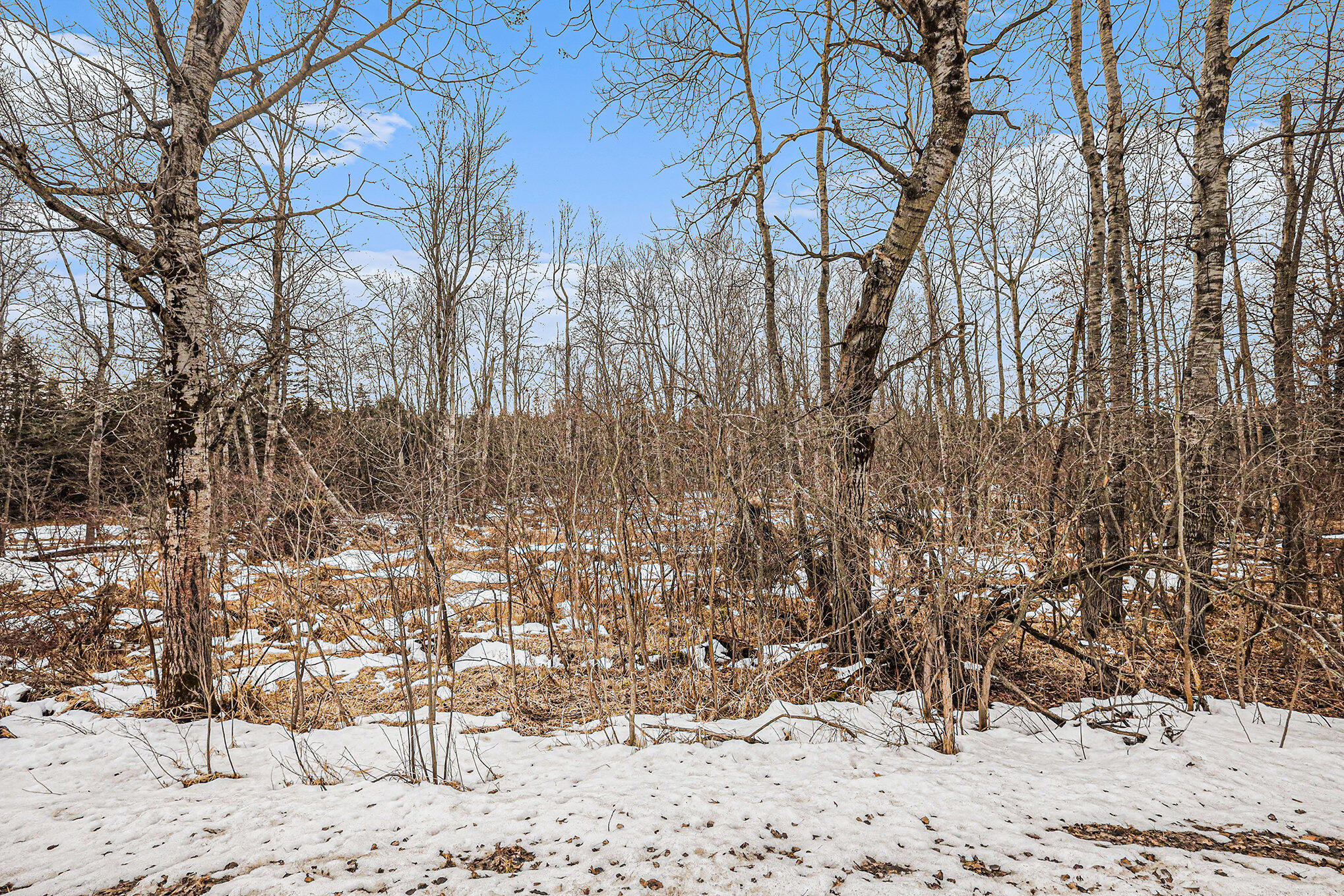 East 72nd Street Reed City, MI 49677 - Photo 21 of 29 022_690a0099