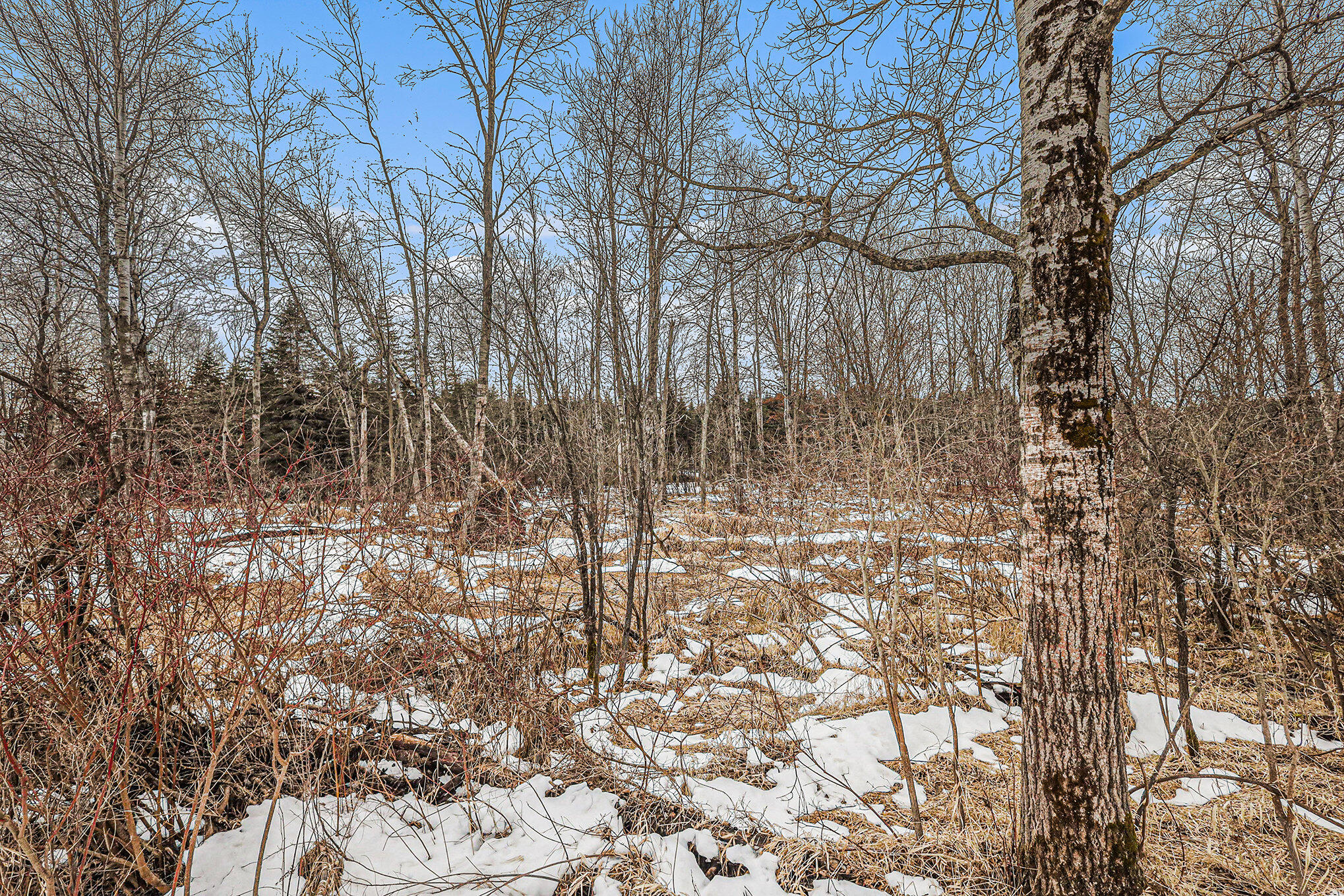 East 72nd Street Reed City, MI 49677 - Photo 24 of 29 025_690a0102