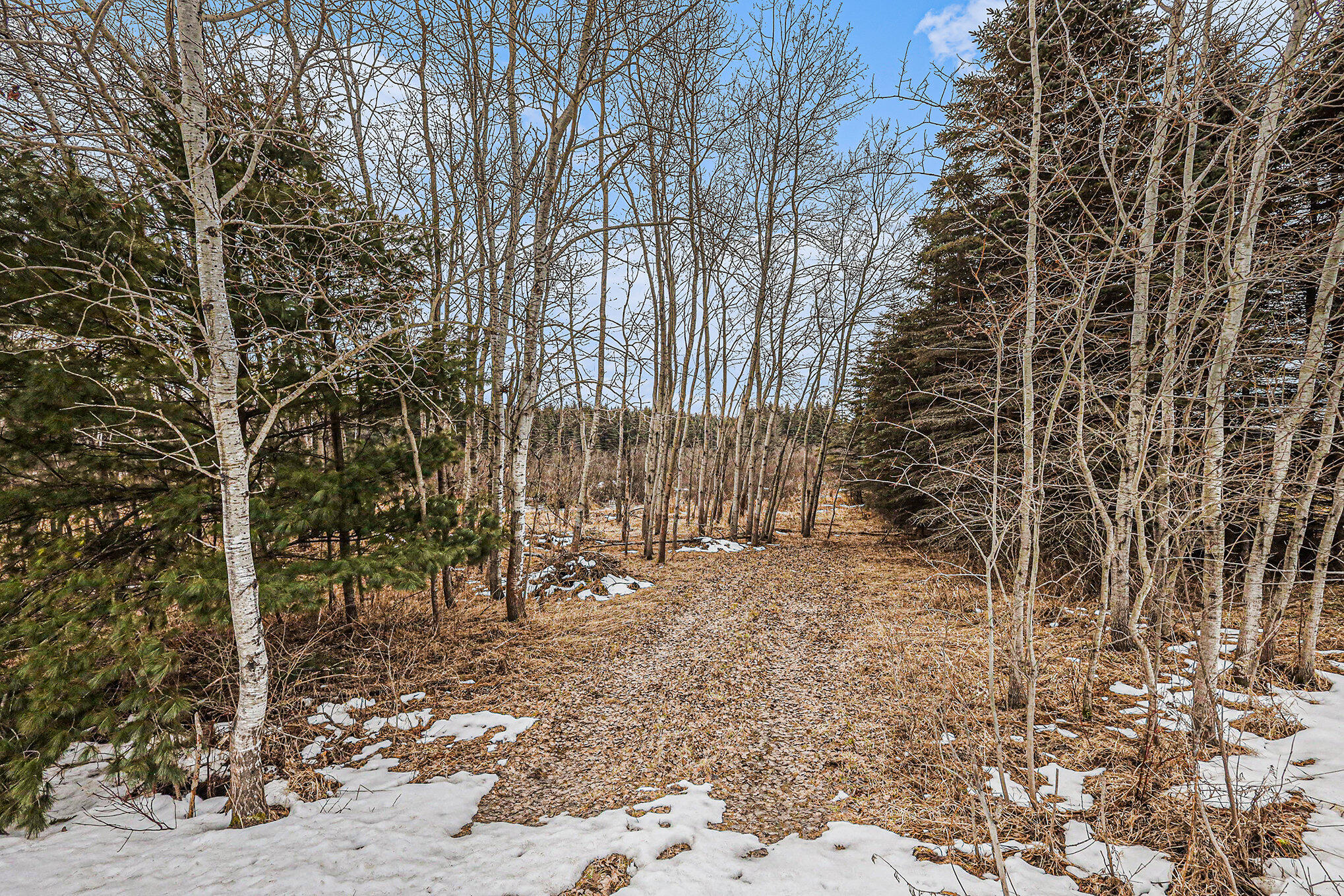East 72nd Street Reed City, MI 49677 - Photo 25 of 29 026_690a0103
