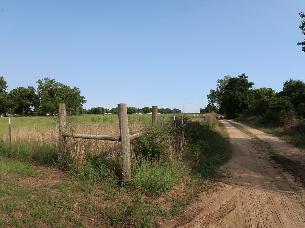 0 East Columbia Road Newville, AL 36353 - Photo 10 of 15