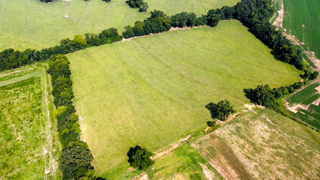 0 Dover Road Dothan, AL 36303 - Photo 3 of 4