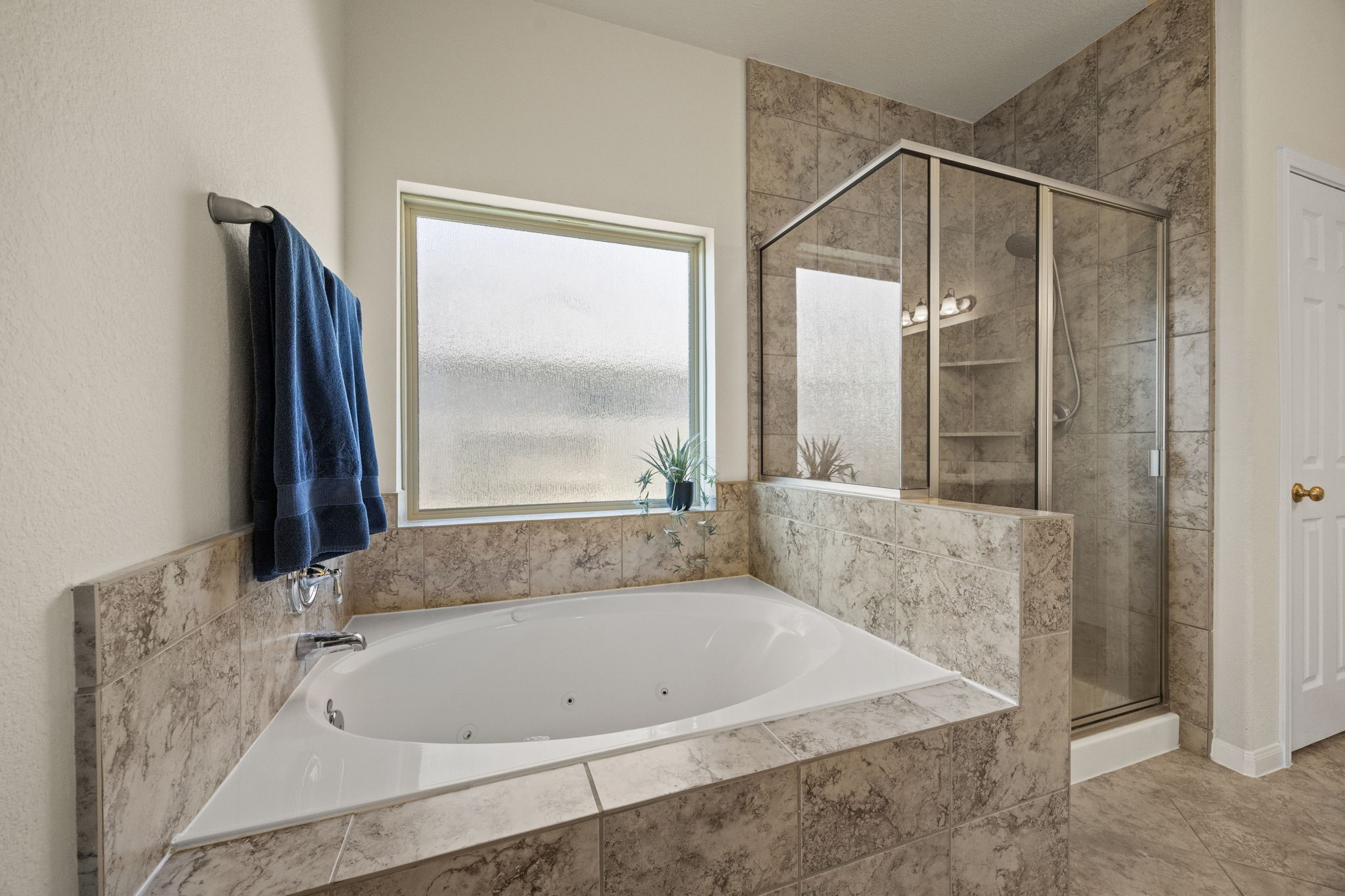 9402 Wheatfield Lane Rosenberg, TX 77469 - Photo 23 of 47 Large shower and soaking tub.