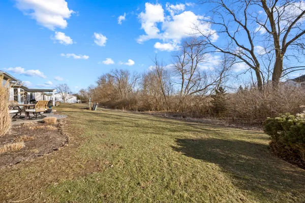 a view of yard with large tree
