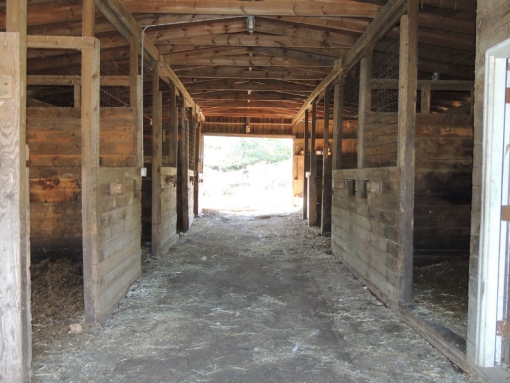 Gallery Image 6