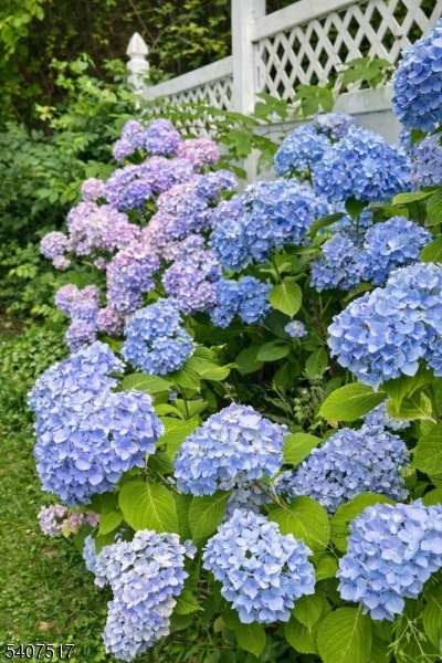 56 East Main Street High Bridge, NJ 08829 - Photo 41 of 44