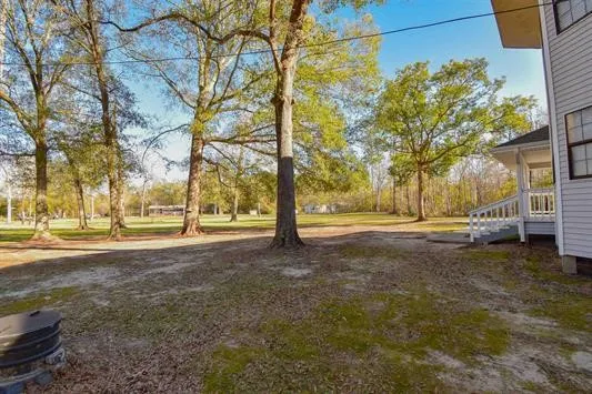 a view of dirt yard with a large tree