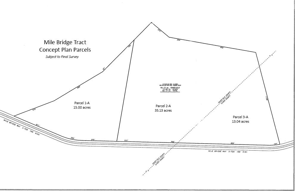 1 A Mile Bridge Way Ridge Spring, SC 29129 - Photo 5 of 5