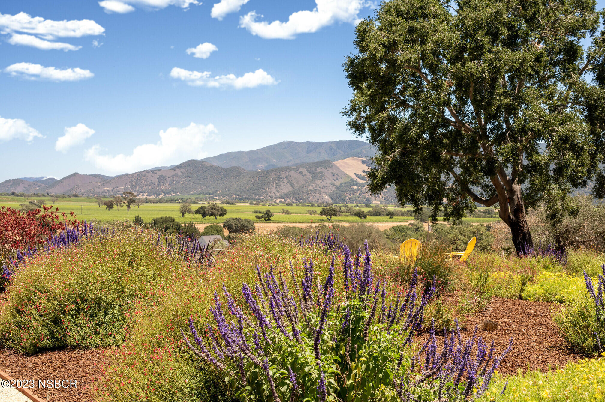 704 North Refugio Road Santa Ynez, CA 93460 - Photo 16 of 26 58-northrefugioroadsantaynezca