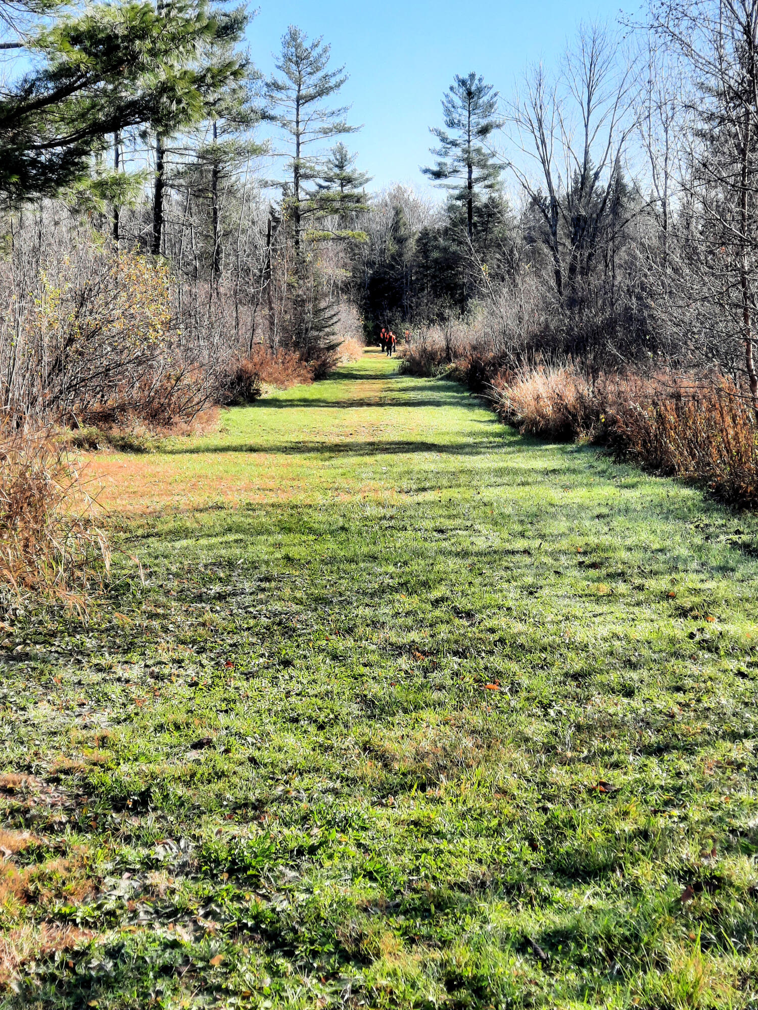 171 Spring Road Pittsfield, ME 04967 - Photo 32 of 33 098_hunting