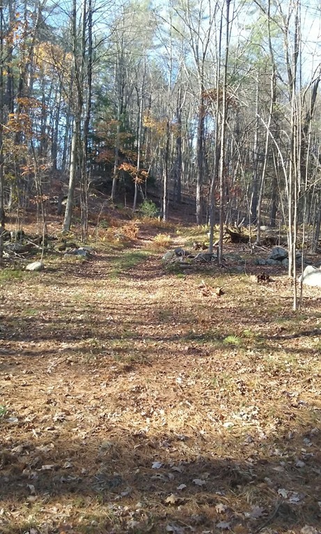 Lot 1 Montague Road Leverett, MA 01054 - Photo 5 of 11