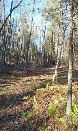 Lot 1 Montague Road Leverett, MA 01054 - Photo 6 of 11