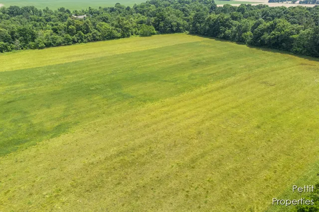 $200,000 | V/l West Strange Highway, Mulliken, MI 48861