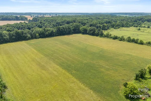 $200,000 | V/l West Strange Highway, Mulliken, MI 48861