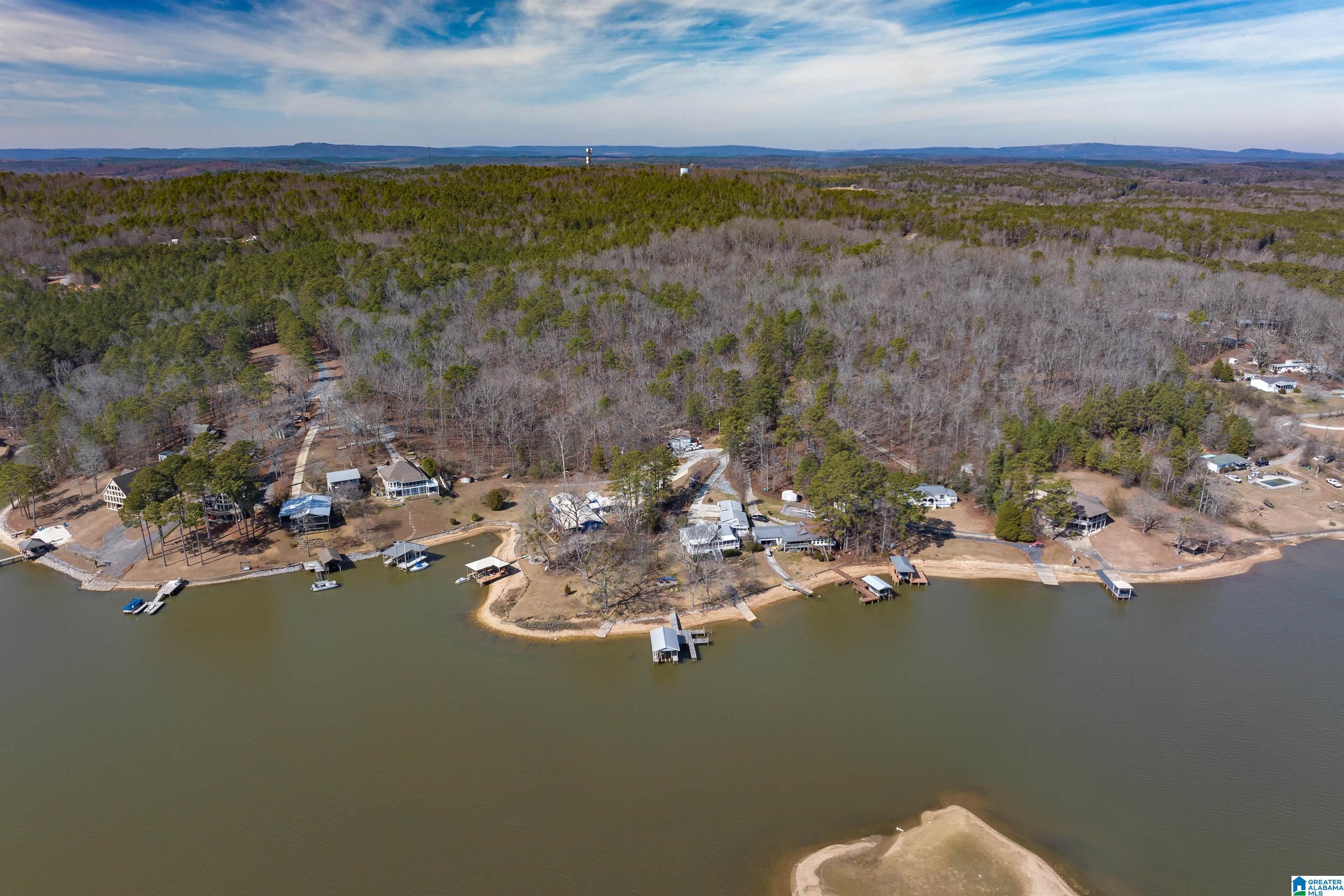 465 Burns Road Vincent, AL 35178 - Photo 13 of 45