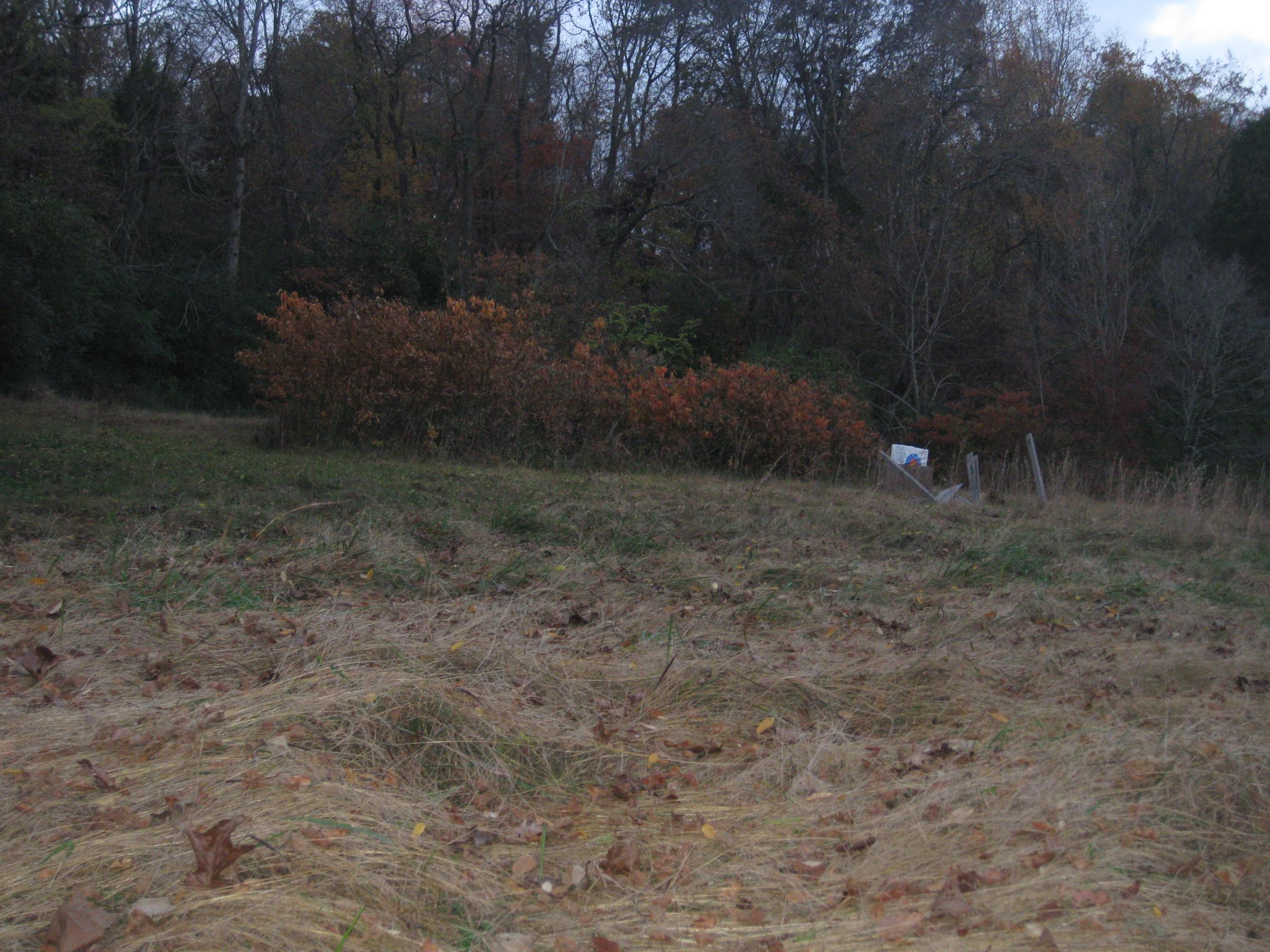 305 Offutt Road Clinton, TN 37716 - Photo 11 of 11 4 +/- acres