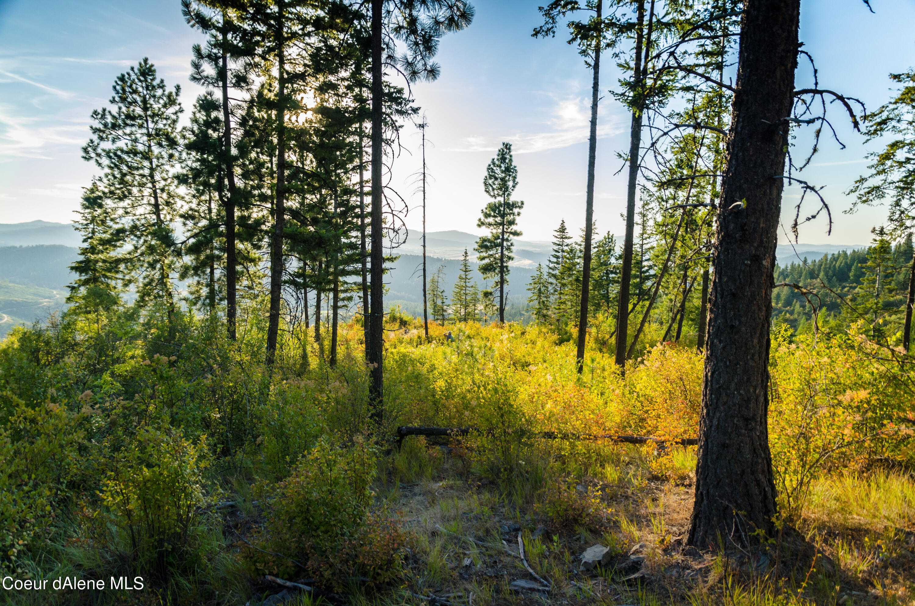 6352 Sanders Road Tensed, ID 83870 - Photo 1 of 1 Mountaintop recreation