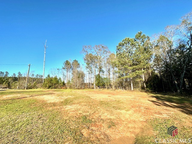 1 Dora Bush Hill Road McRae-Helena, GA 31037 - Photo 25 of 32