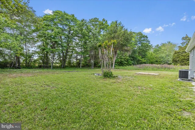 a view of a garden with a tree