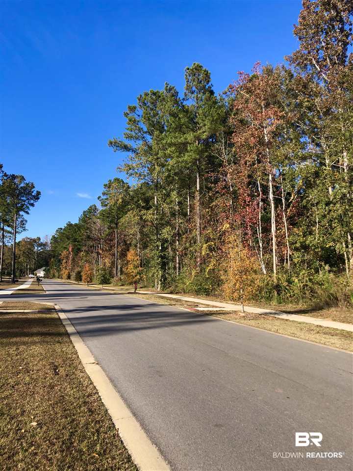 338 Saffron Avenue Fairhope, AL 36532 - Photo 25 of 27 Tree Lined Streets
