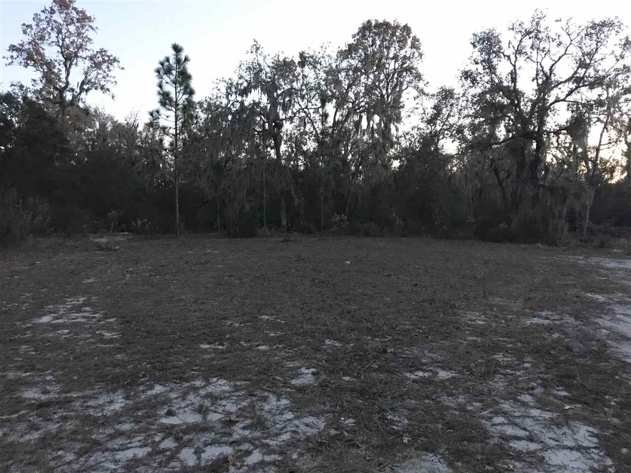 0 Parente Place Perry, FL 32348 - Photo 2 of 6 Gallery Image 2
