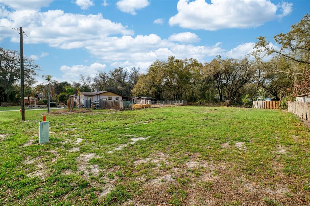 Lake Griffin Road Lady Lake, FL 32159 - Photo 11 of 14