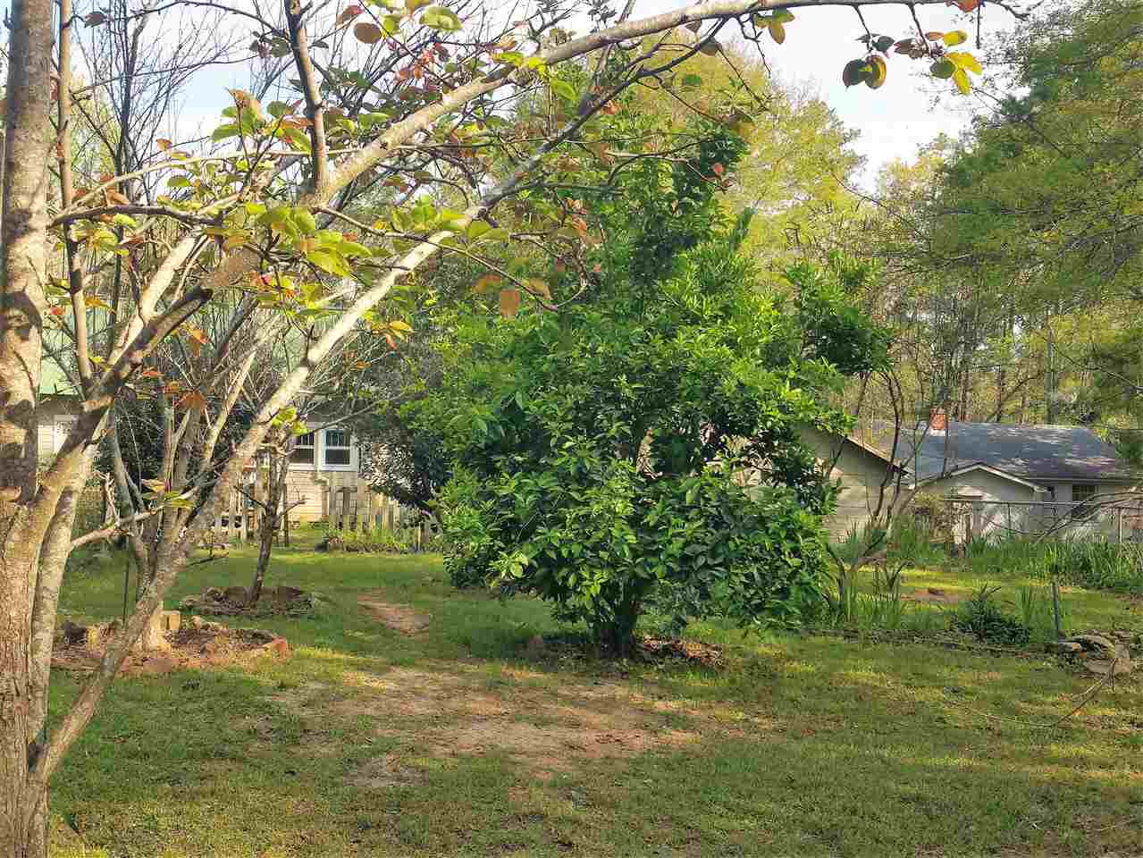 418 West Satsuma Road Chattahoochee, FL 32324 - Photo 27 of 30