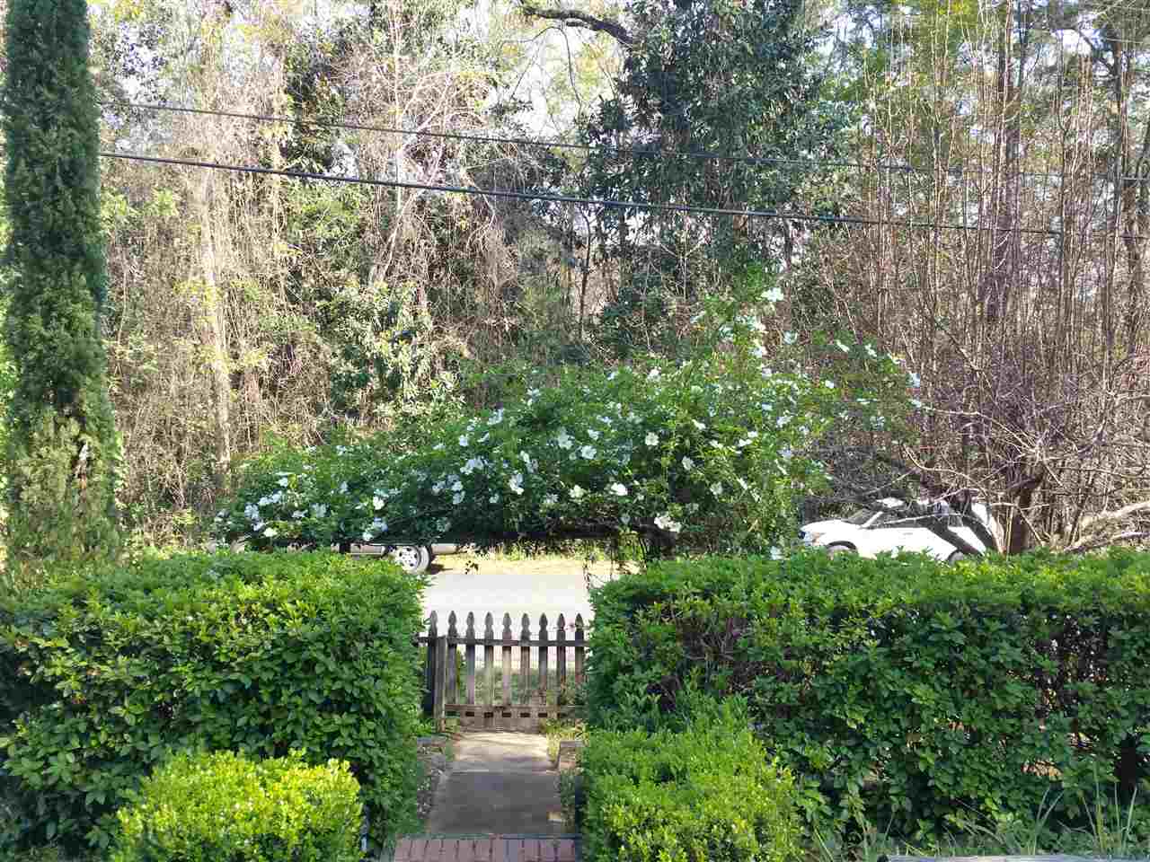 418 West Satsuma Road Chattahoochee, FL 32324 - Photo 3 of 30