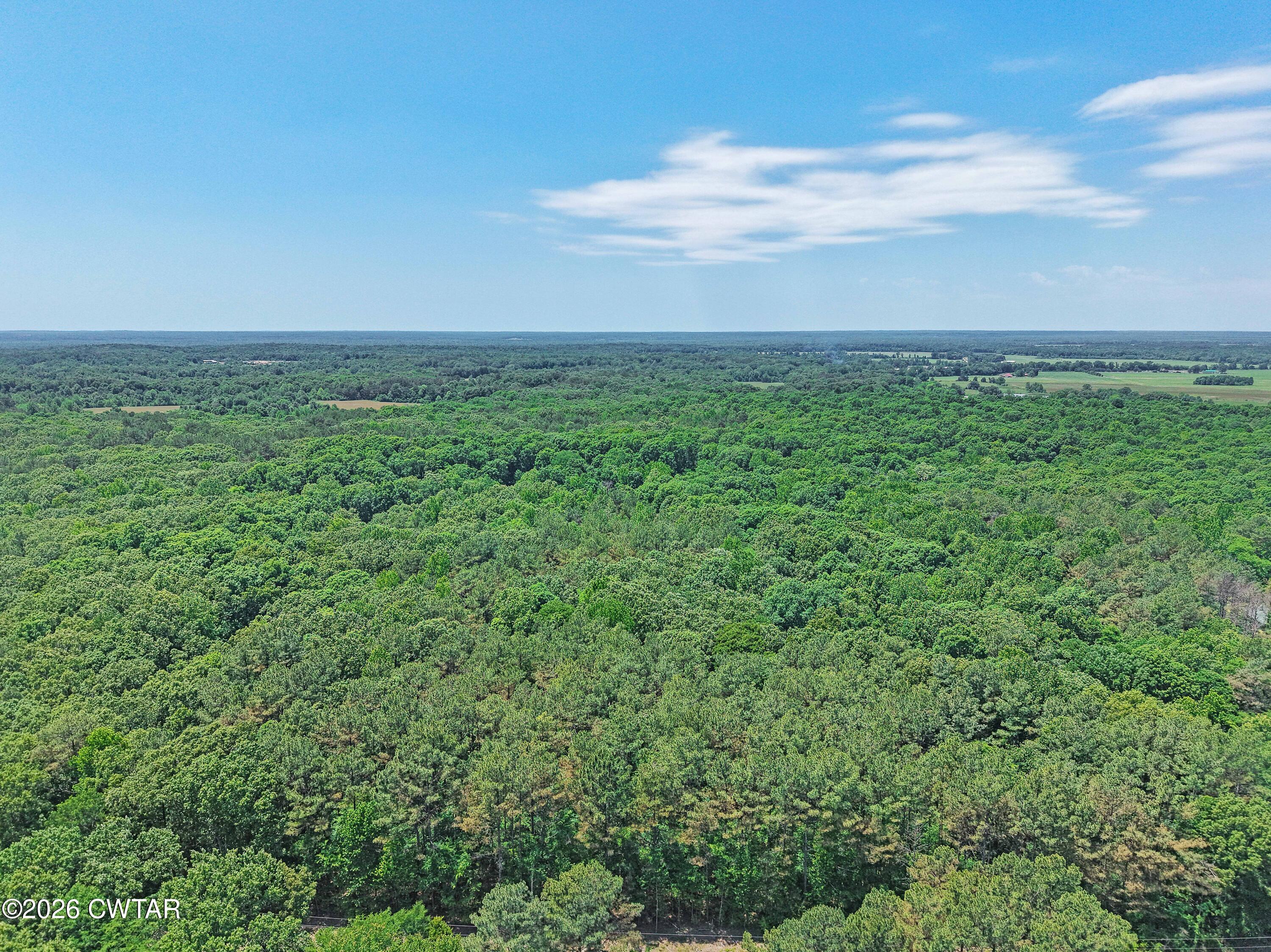 0 Teague Road Toone, TN 38381 - Photo 19 of 25 DJI_20260513125839_0193_D