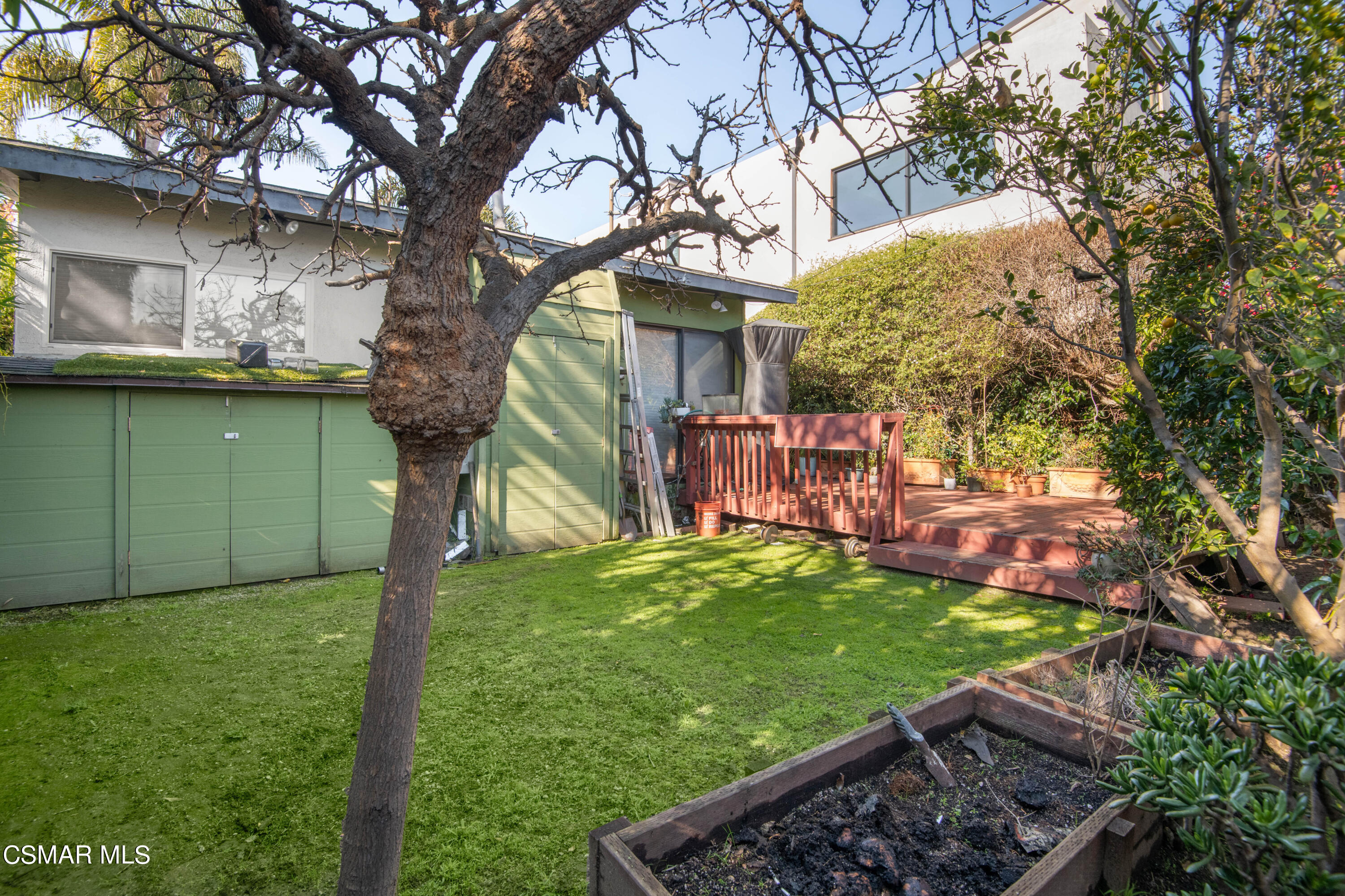 2420 Frey Avenue Venice, CA 90291 - Photo 17 of 24 a view of a backyard with a garden