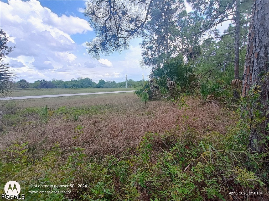 6005 North Moss Road LaBelle, FL 33935 - Photo 6 of 7