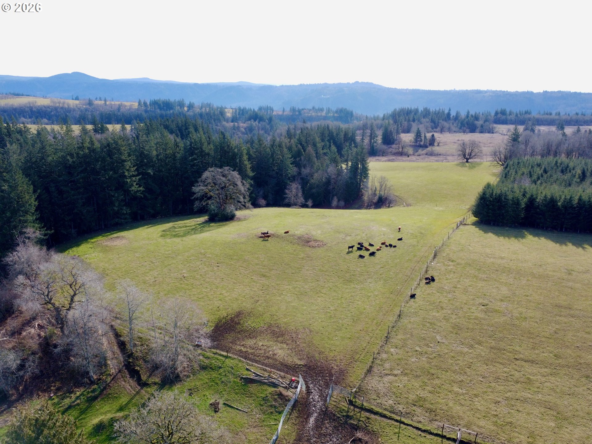 39143 Southeast Gibson Road Washougal, WA 98671 - Photo 22 of 26 a view of a swimming pool and mountains