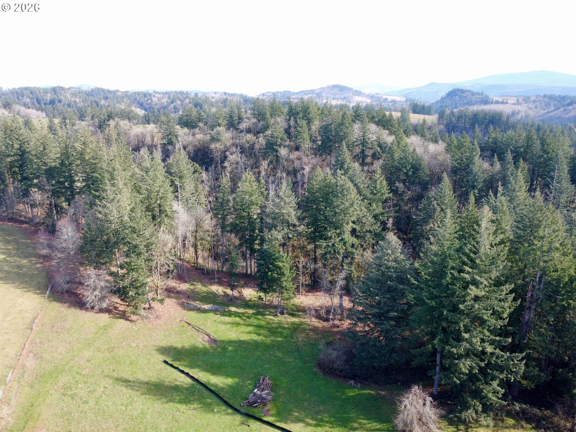 39143 Southeast Gibson Road Washougal, WA 98671 - Photo 23 of 26 a view of a forest with a mountain