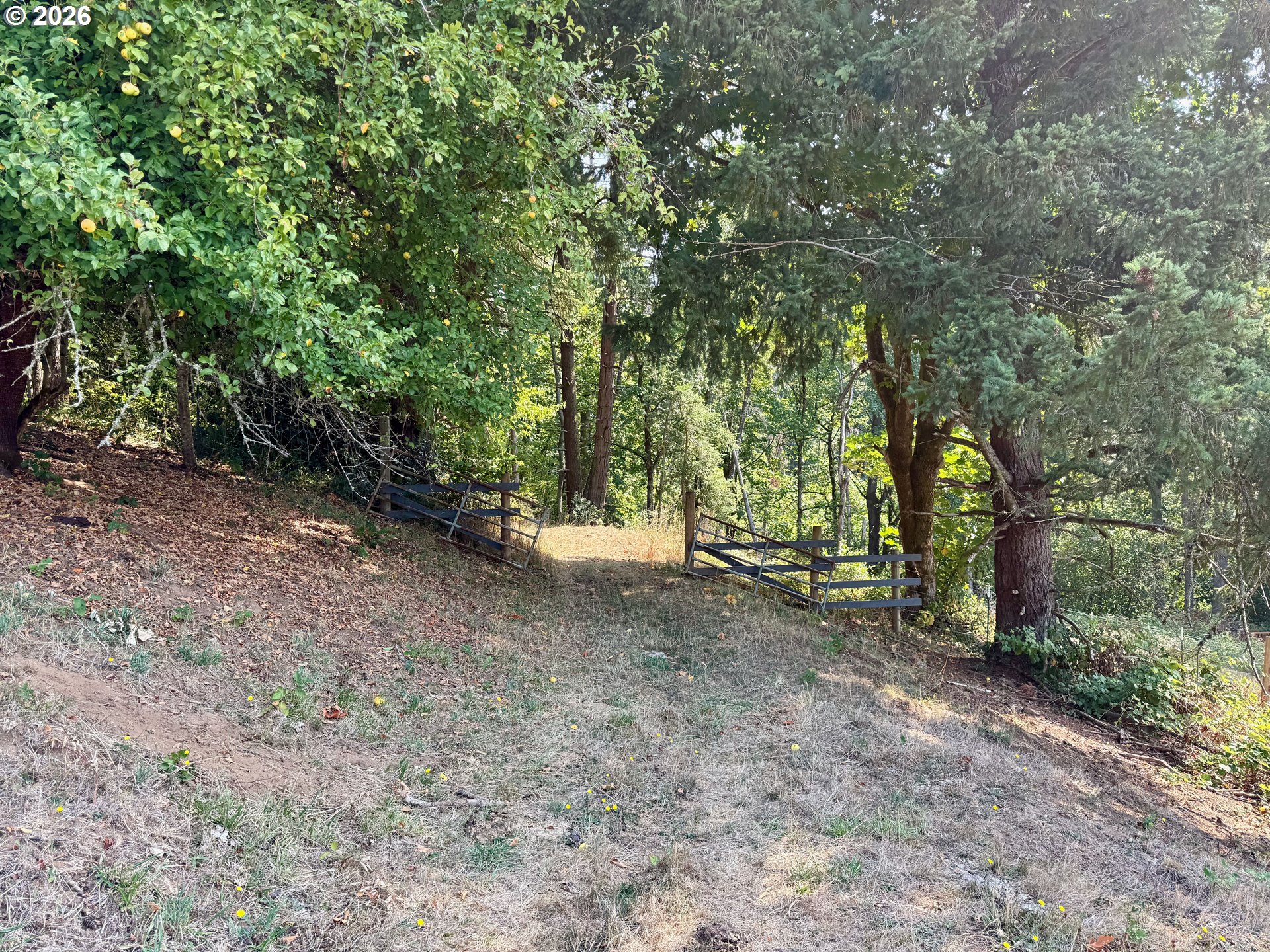 39143 Southeast Gibson Road Washougal, WA 98671 - Photo 24 of 26 a view of a forest with trees in the background