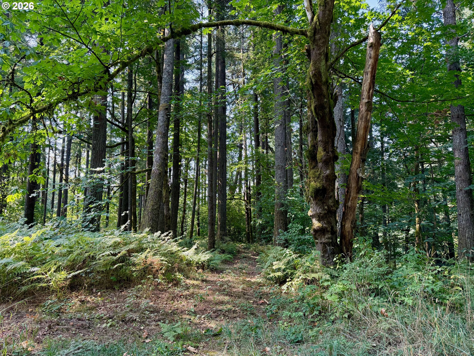 39143 Southeast Gibson Road Washougal, WA 98671 - Photo 25 of 26 a view of outdoor space and green space