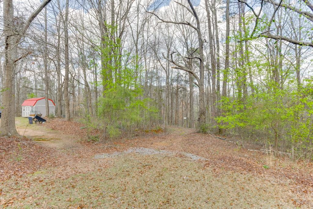722 Charlie Morris Road Colbert, GA 30628 - Photo 62 of 78