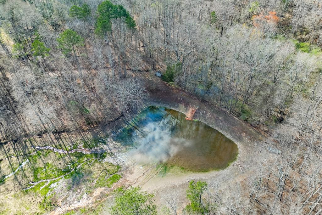 722 Charlie Morris Road Colbert, GA 30628 - Photo 69 of 78 a view of a forest with a tree
