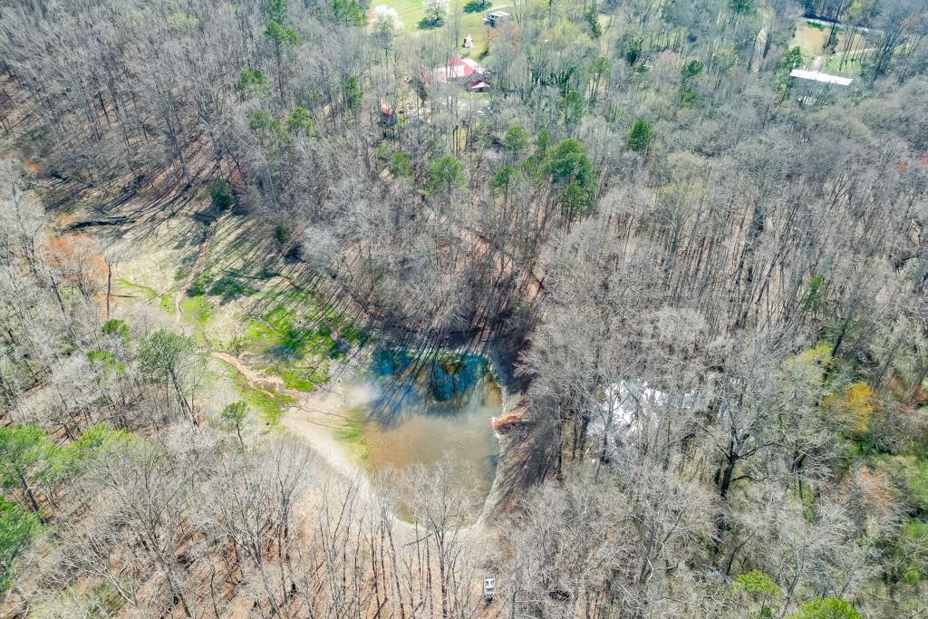 722 Charlie Morris Road Colbert, GA 30628 - Photo 70 of 78 a view of a lake in between the bunch of trees