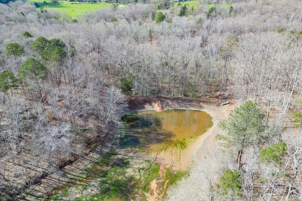 722 Charlie Morris Road Colbert, GA 30628 - Photo 71 of 78 a view of a swimming pool and trees in the background