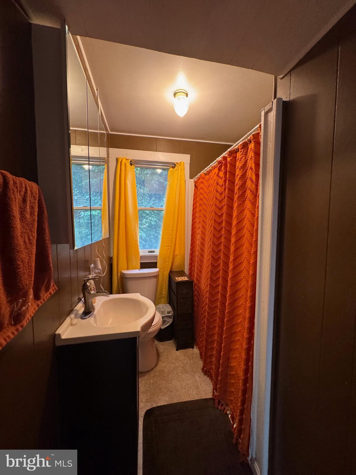 320 Harding Avenue Baltimore, MD 21220 - Photo 14 of 23 a bathroom with a sink a mirror and a shower