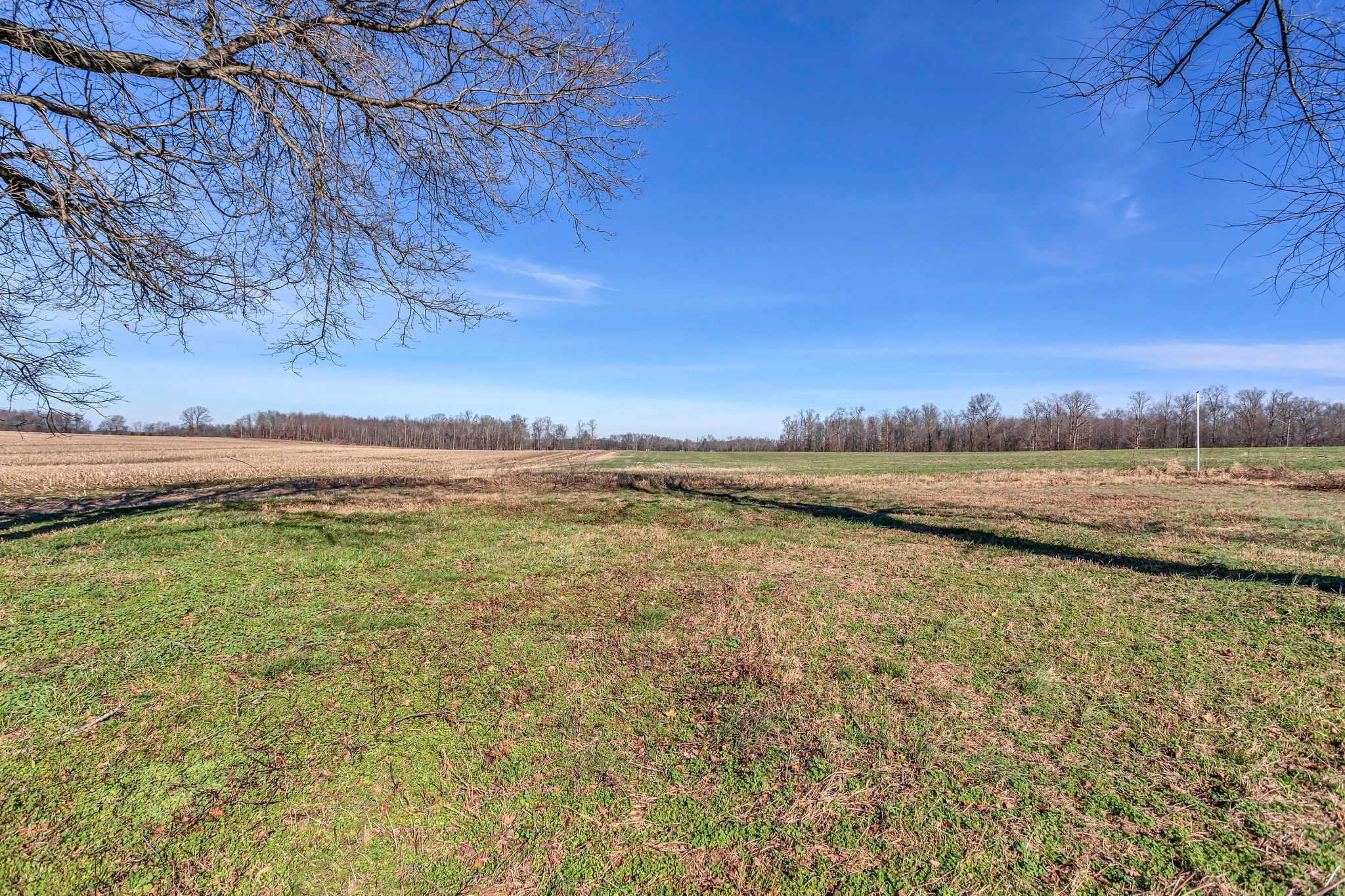 276 Good Hope Road Lawrenceburg, TN 38464 - Photo 31 of 33