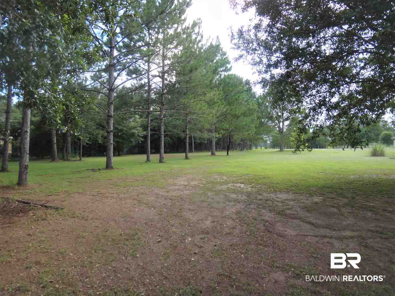 19345 3 Rivers Road Seminole, AL 36574 - Photo 5 of 8