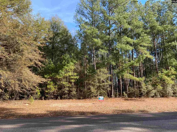 $55,000 | Mill Street, Wagener, SC 29164