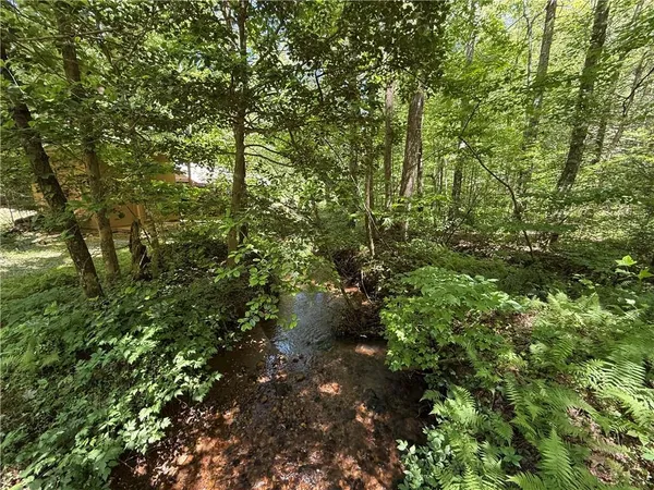 a view of a forest