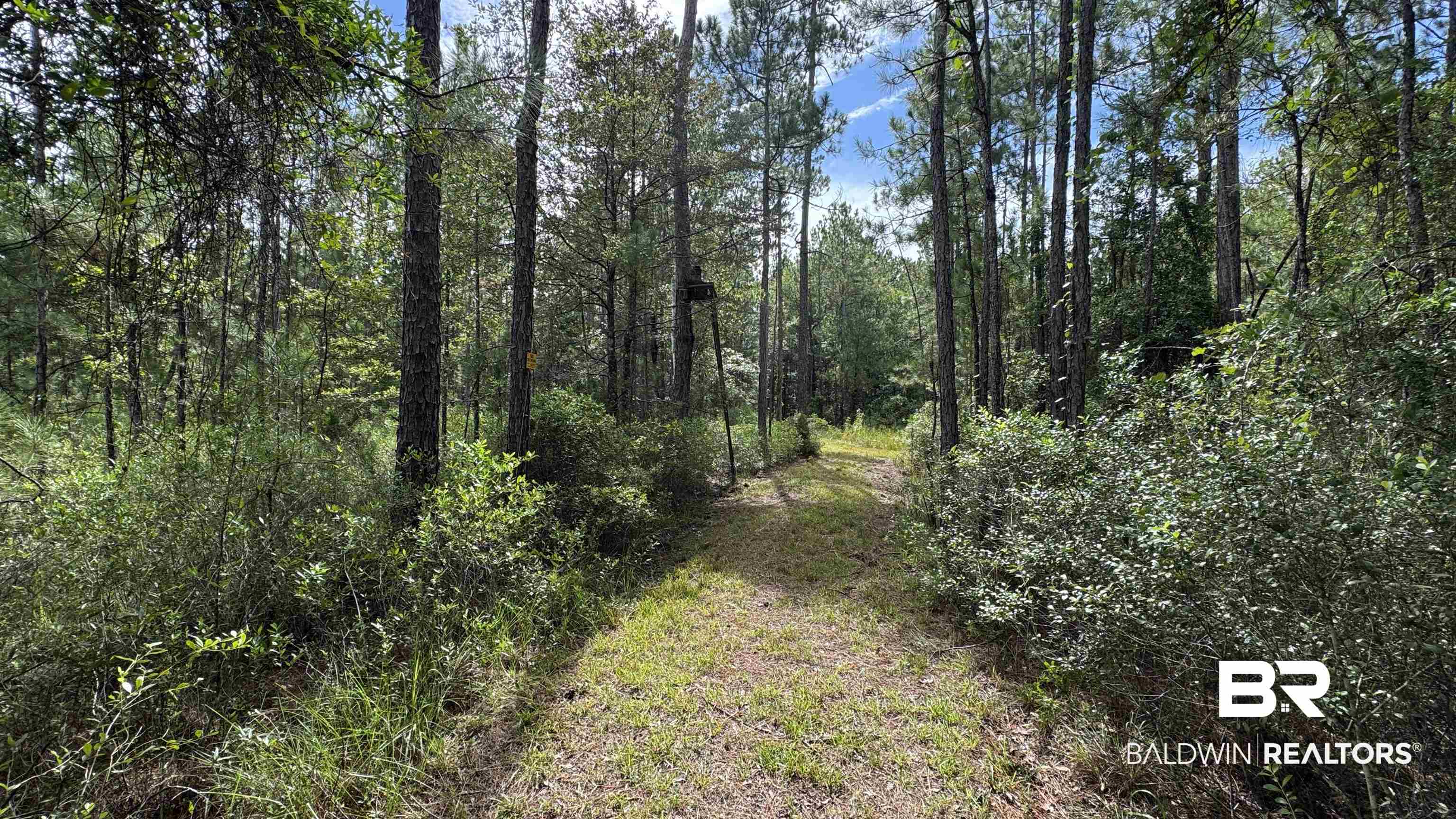 66409 James Road Stockton, AL 36579 - Photo 9 of 35